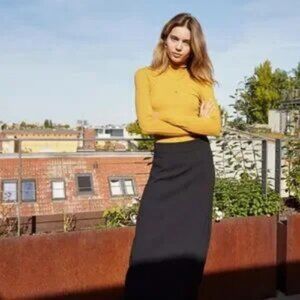 Aritzia Wilfred Only Waist Ribbed Turtleneck Cropped Mockneck